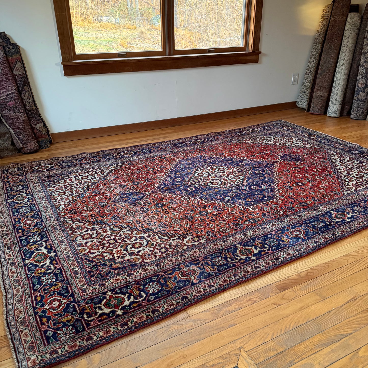 Number 1645 - 6'3" x 9'8"