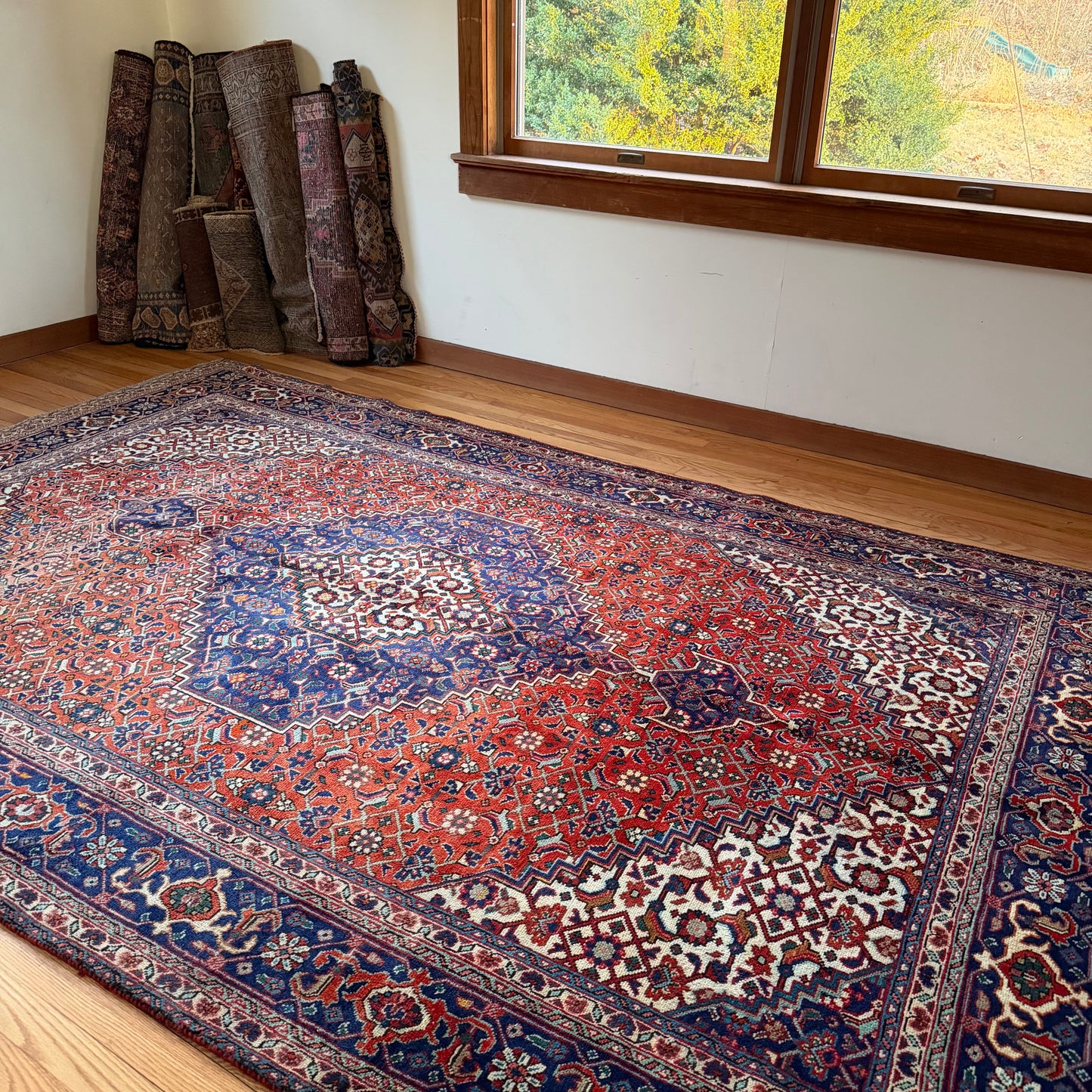 Number 1645 - 6'3" x 9'8"