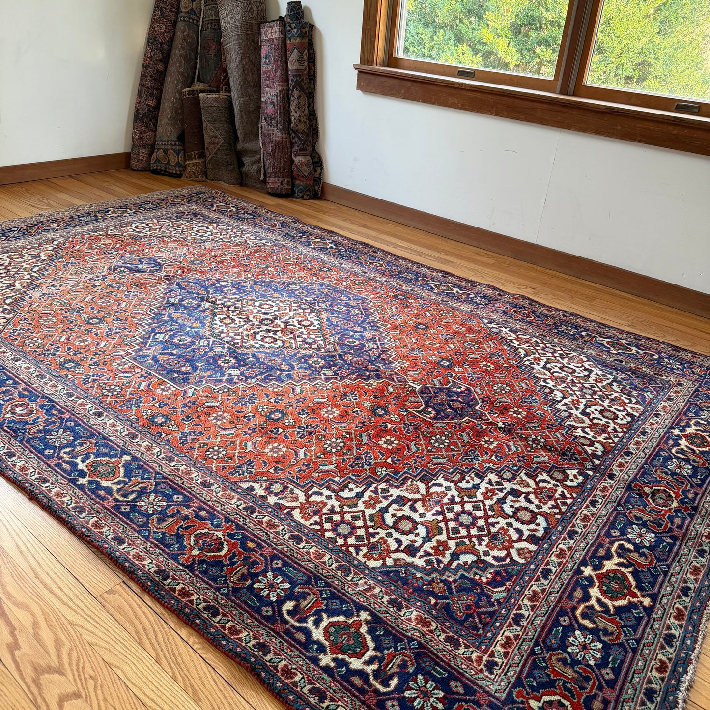 Number 1645 - 6'3" x 9'8"