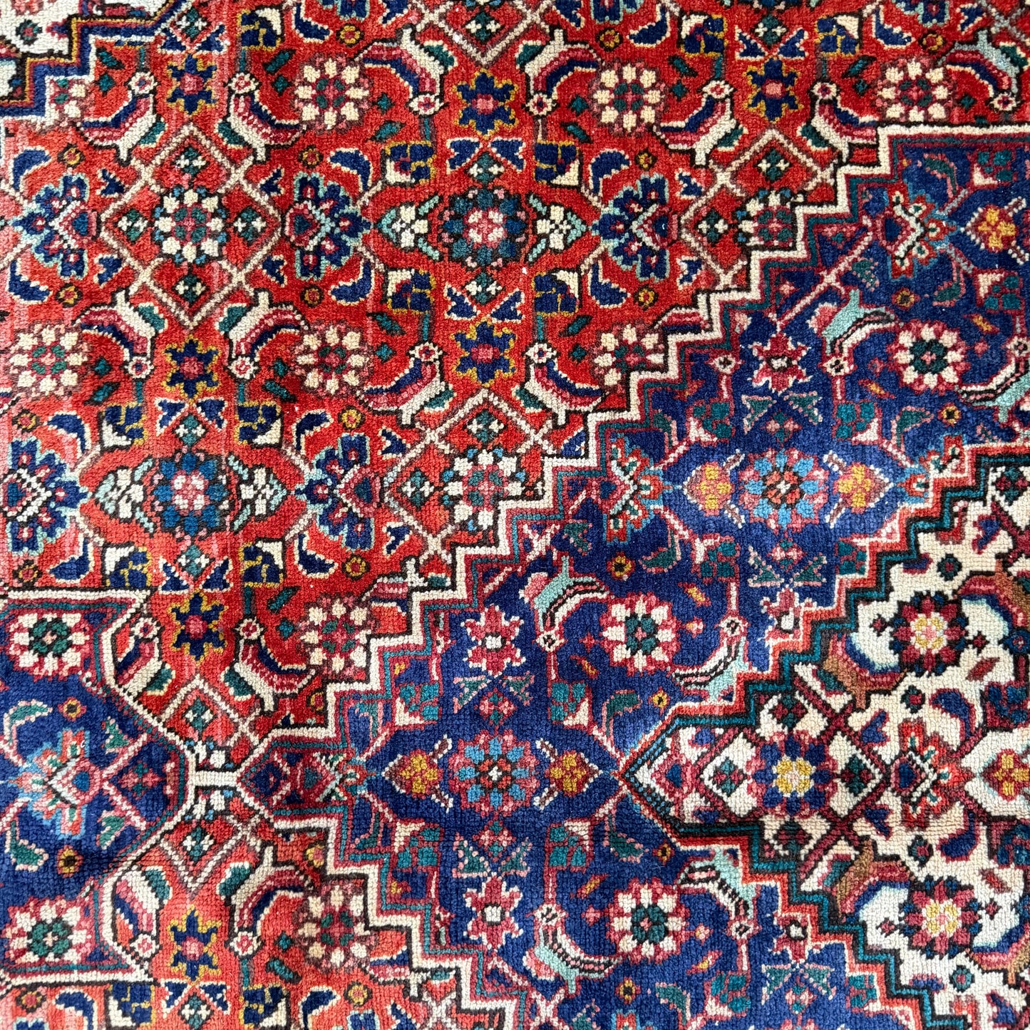 Number 1645 - 6'3" x 9'8"