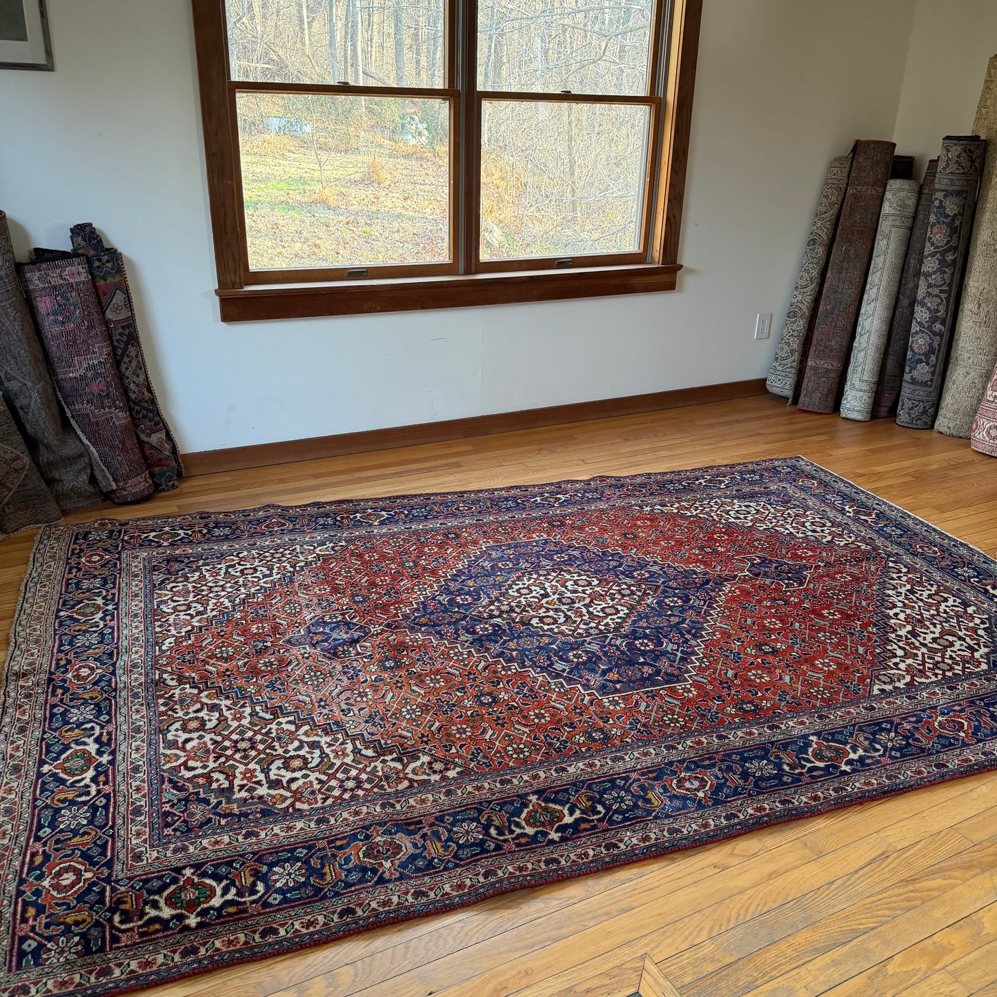 Number 1645 - 6'3" x 9'8"