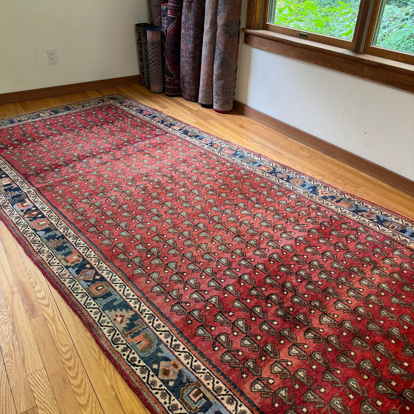 Number 1905 - 5’6” x 12’1”