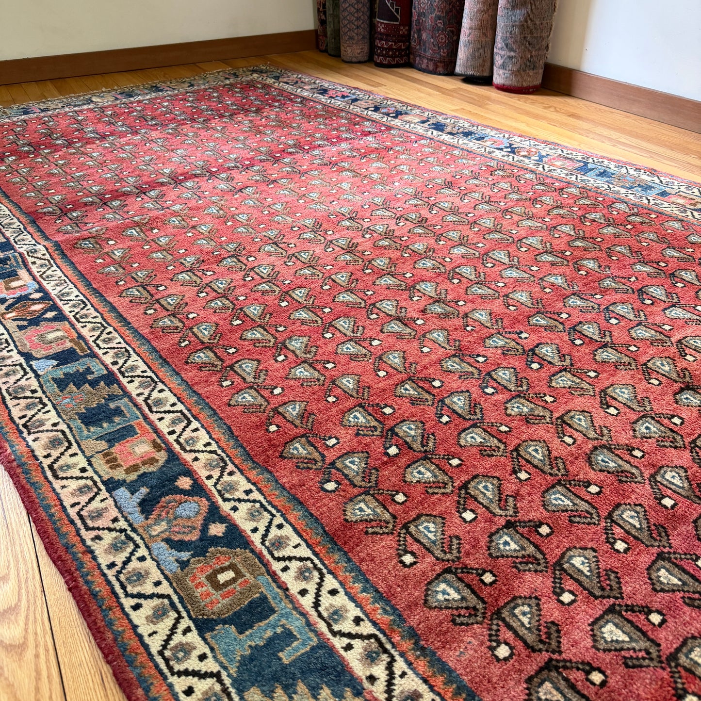 Number 1905 - 5’6” x 12’1”
