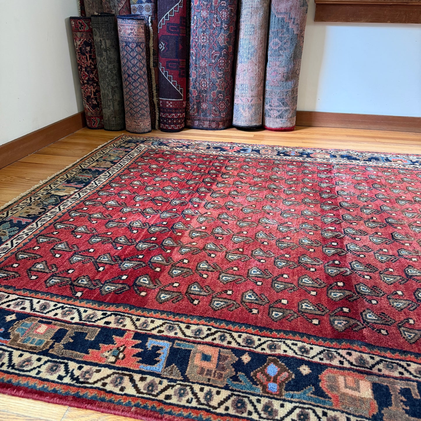 Number 1905 - 5’6” x 12’1”